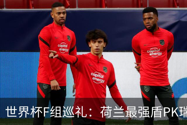 世界杯F组巡礼：荷兰最强盾PK瑞典犀利刀 日本短板明显